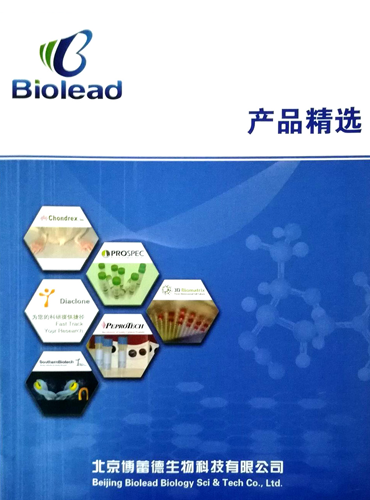 代理品牌熱銷產(chǎn)品宣傳冊(cè)