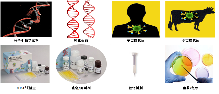Molecular Innovation.png
