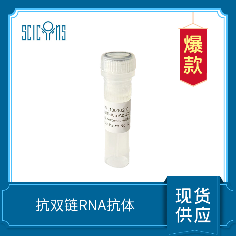 抗雙鏈RNA抗體 J2  anti  dsRNA antibody