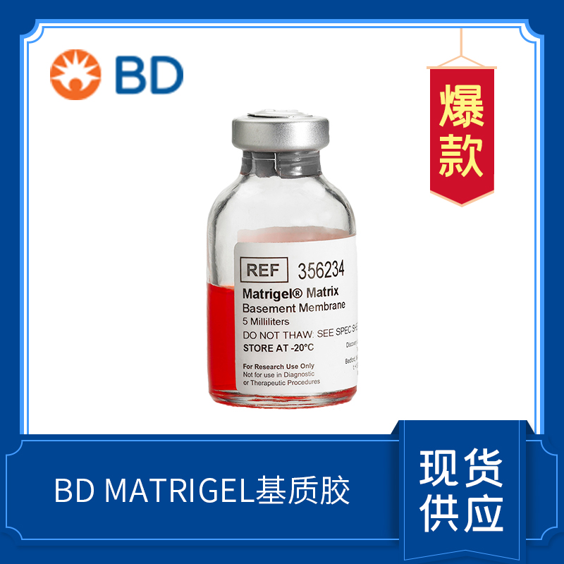 BD Matrigel Matrix  基質膠/基底膜基質  356234