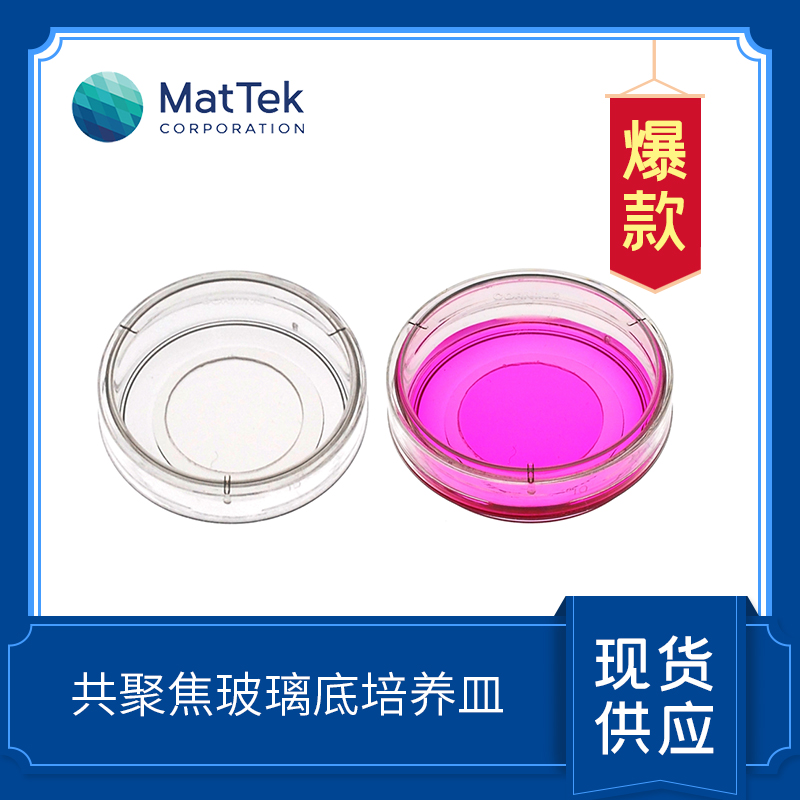 P35G-1.0-20-C35mmDish|No.1.0Coverslip|20mmGlassDiameter|Uncoated
