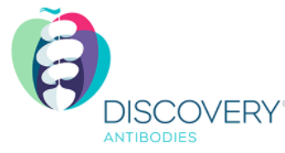 Discovery? Antibodies(CRB)中國代理博蕾德生物-藥物研究抗體領導者