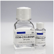 GMP級(jí)干細(xì)胞凍存液 1894 11897 現(xiàn)貨 stem cellbanker