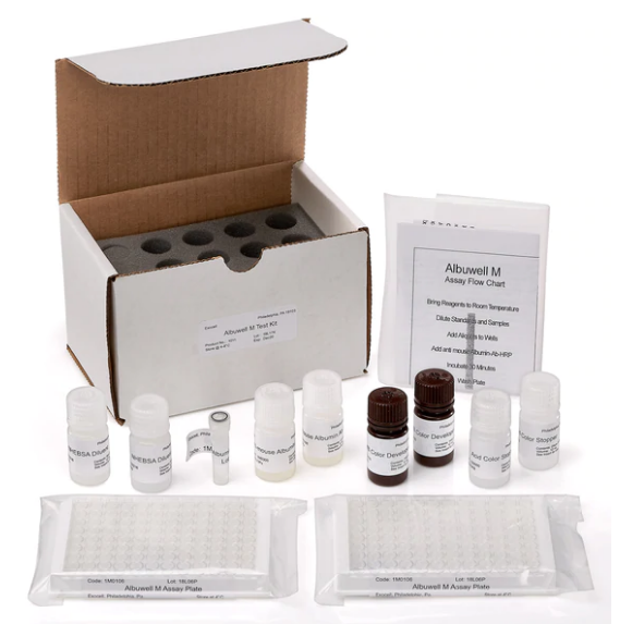 Mouse Albumin ELISA 小鼠白蛋白檢測試劑盒