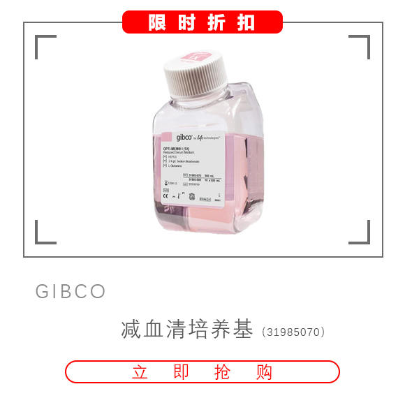 減血清培養(yǎng)基 Opti-MEM? I Reduced Serum Medium