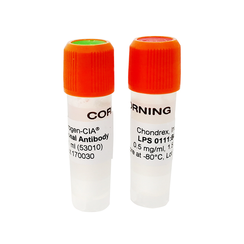 Arthrogen-CIA 5-Clone Cocktail Kit - 10mg 五克隆合劑 CAIA 模型誘導