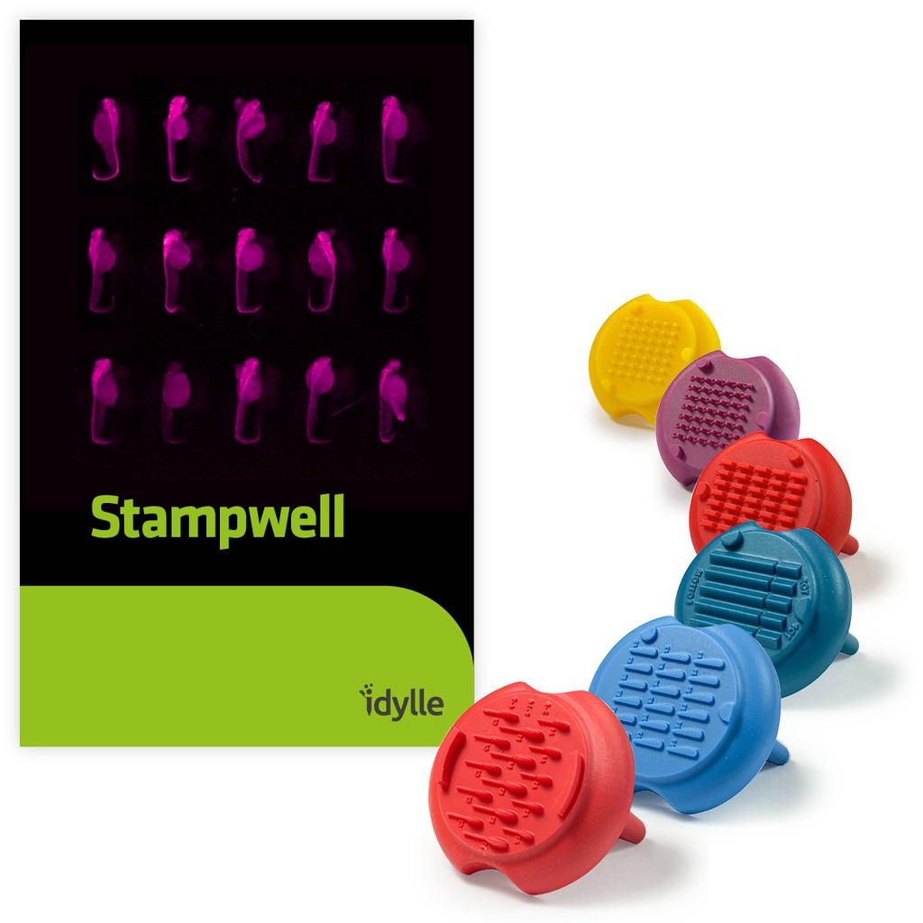 Stampwell-larvae 2 凝膠孔制備(3D細胞成像)