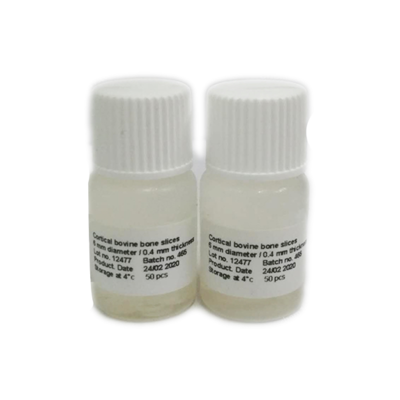 骨切片（bone slice）-破骨細(xì)胞骨吸收功能檢測