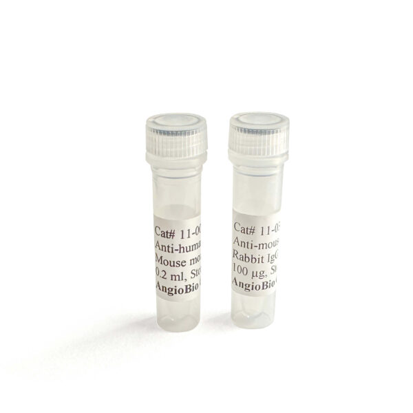 Anti Mouse LYVE-1 Antibody